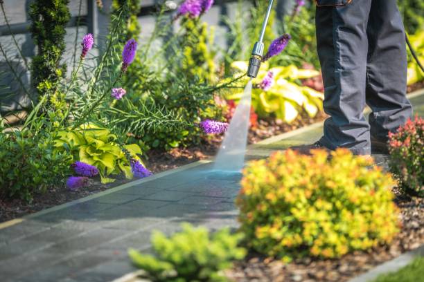 Best Sidewalk and Walkway Cleaning  in Tamarac, FL