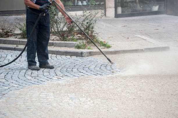 Best Roof Washing  in Tamarac, FL